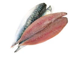 filetes-de-sardina