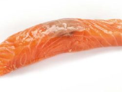 salmón-salar