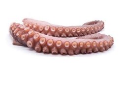 patas-de-potón