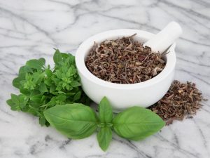 albahaca