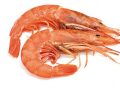 Gambón
