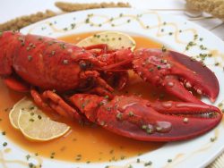 Langosta