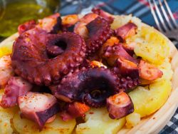 Pulpo entero