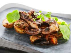 pulpo T1 de Marruecos