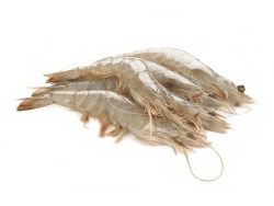 LANGOSTINO VANNAMEI 30/40