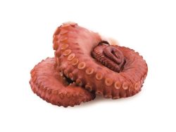 PATA PULPO COCIDA REFRIGERADA XXL +400GR